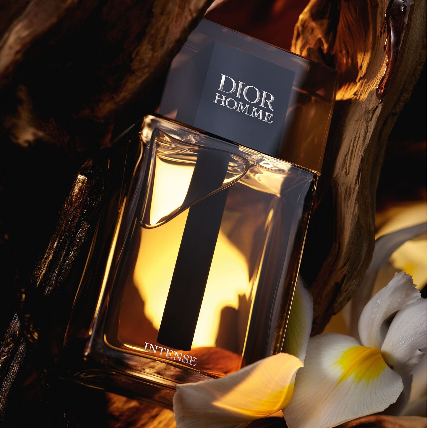 Dior Homme Intense Eau de Parfum 100ml | Luxury Iris Woody Men’s Fragrance