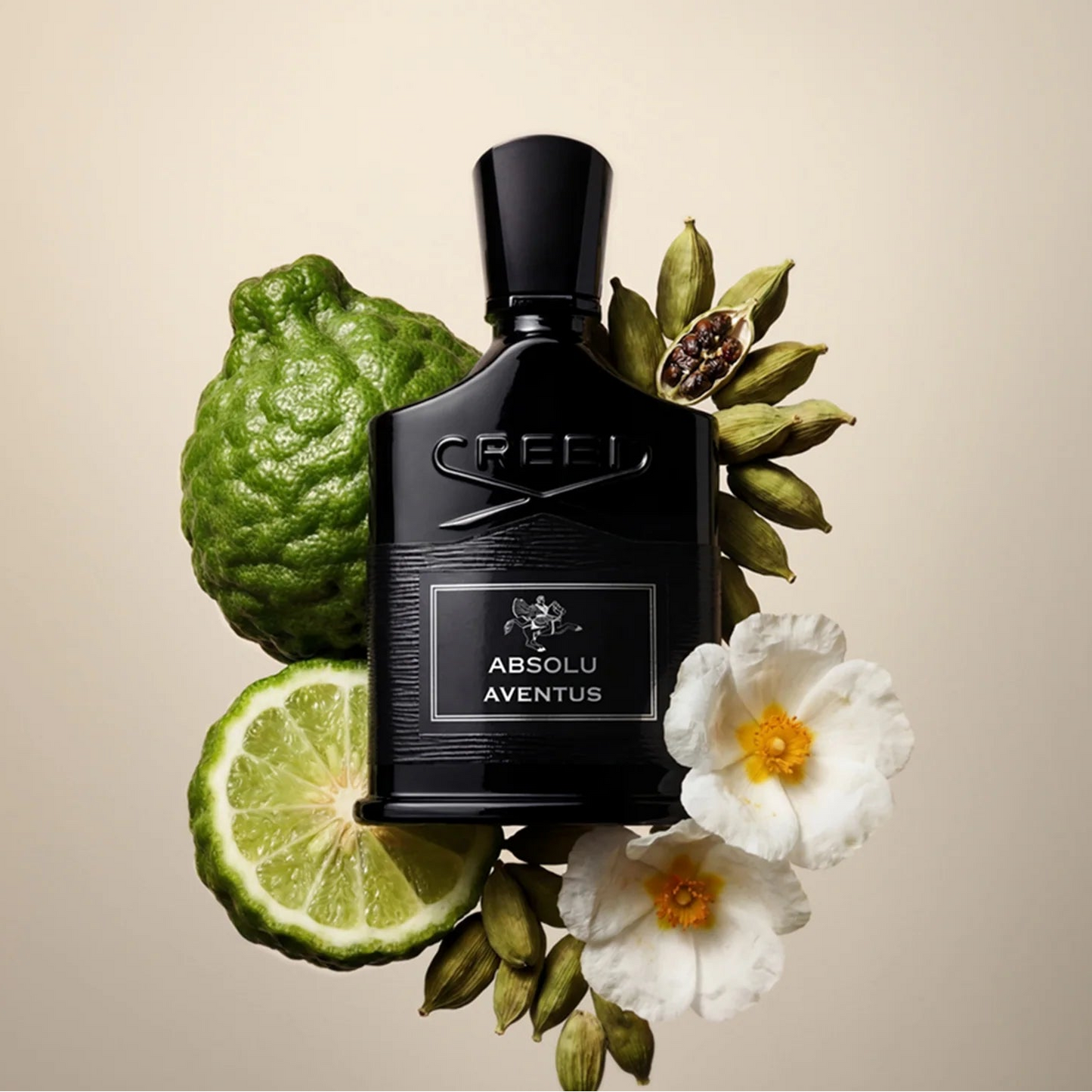 Absolu Aventus Eau de Parfum 100ml | Intense Smoky Woods & Citrus | Perfume Everyday
