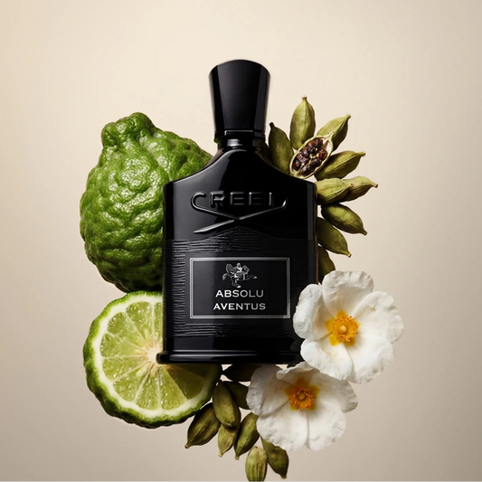 Absolu Aventus Eau de Parfum 100ml | Intense Smoky Woods & Citrus | Perfume Everyday